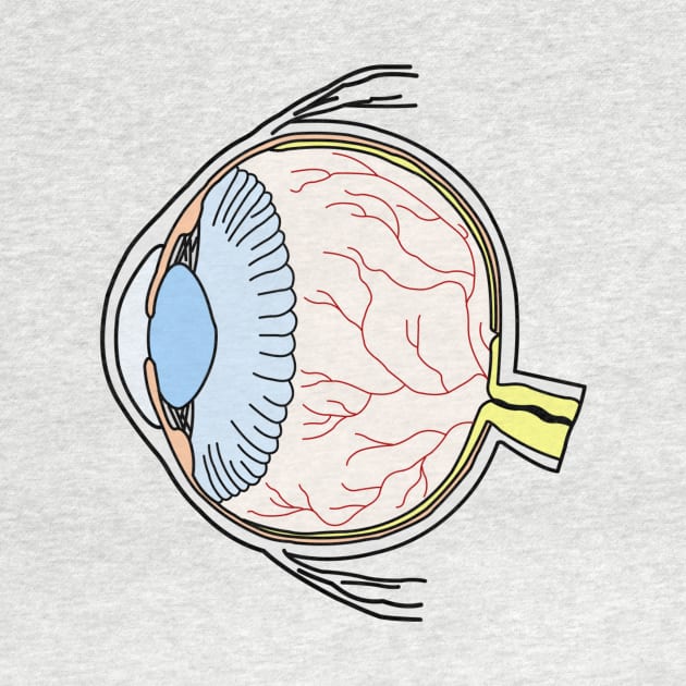 Colorful Eyeball Line Art Large by Organoleptic